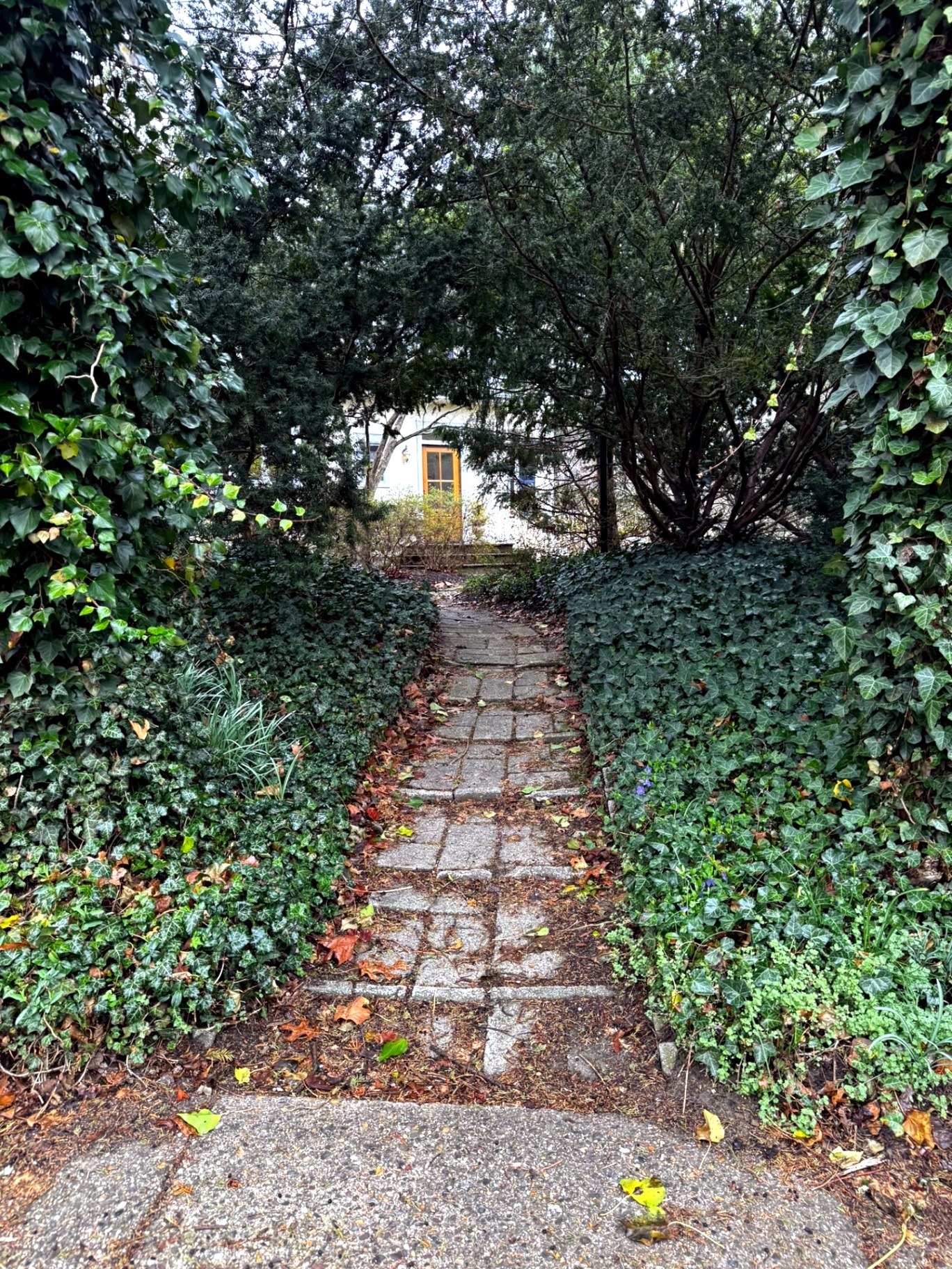 Paver walkway transformation in Wenonah, NJ – before